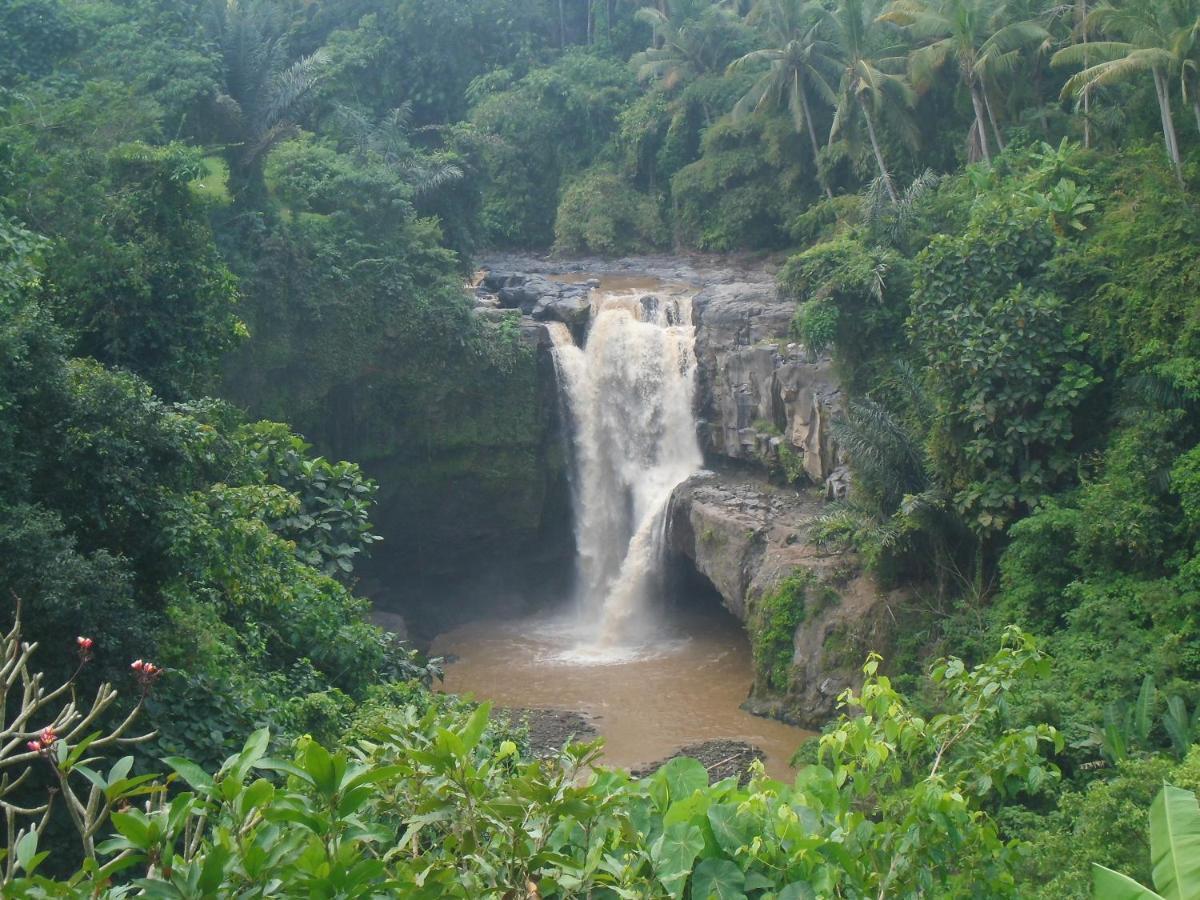 Waterfall Guest House Sukawati エクステリア 写真